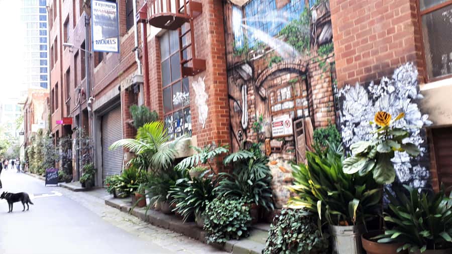 Melbourne Laneways Tour - Price and value at about $91 for 3 hours