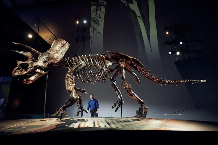 Melbourne: Melbourne Museum Entry Ticket - Key highlights worth planning around