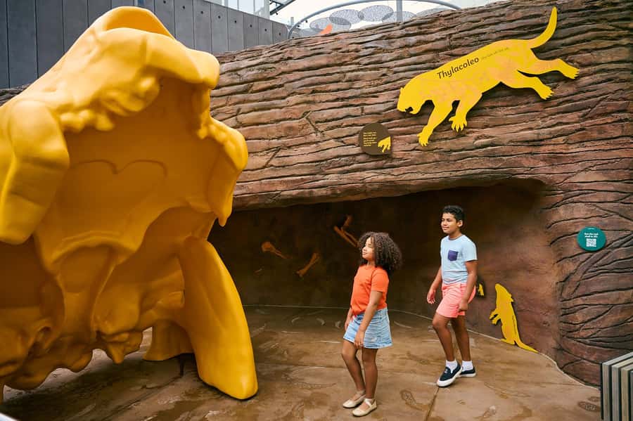 Melbourne: Melbourne Museum Entry Ticket - Forest Gallery: the science museum moment that feels like a breath