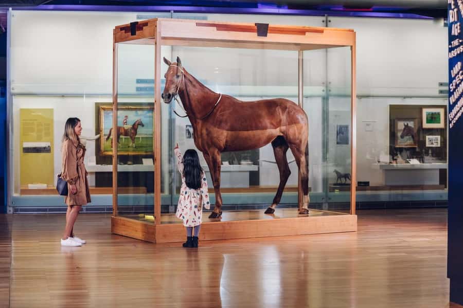 Melbourne: Melbourne Museum Entry Ticket - Melbourne Gallery and Phar Lap: Victoria’s story in real artifacts
