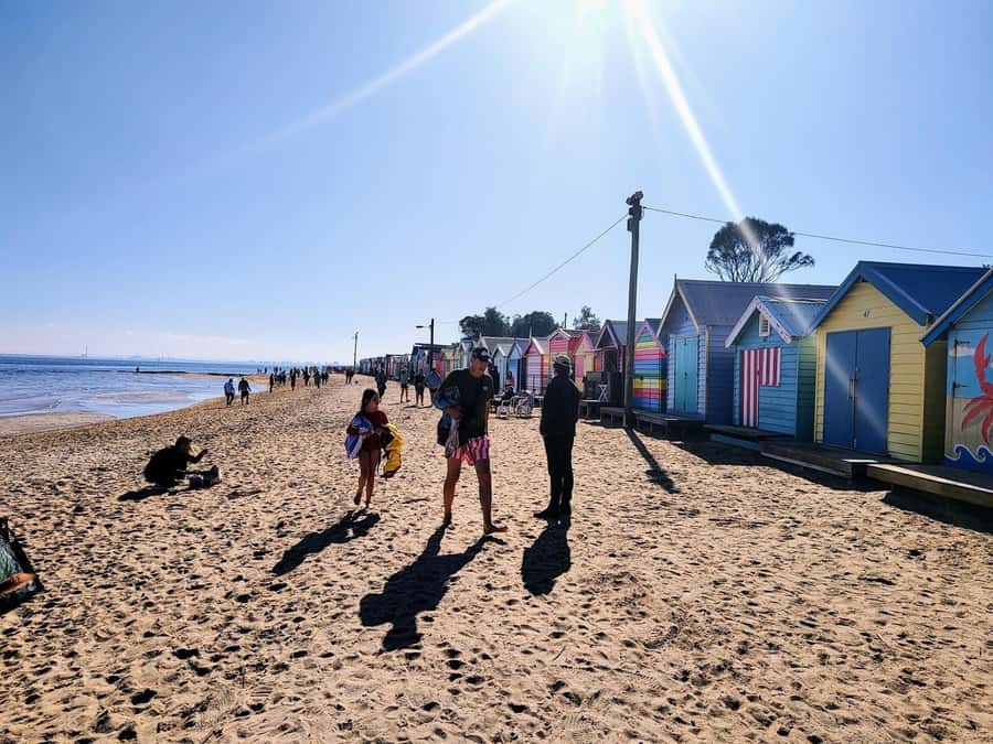 Melbourne: Moonlit Sanctuary and Brighton Beach Boxes Tour - Small-Group Highlights You Actually Feel