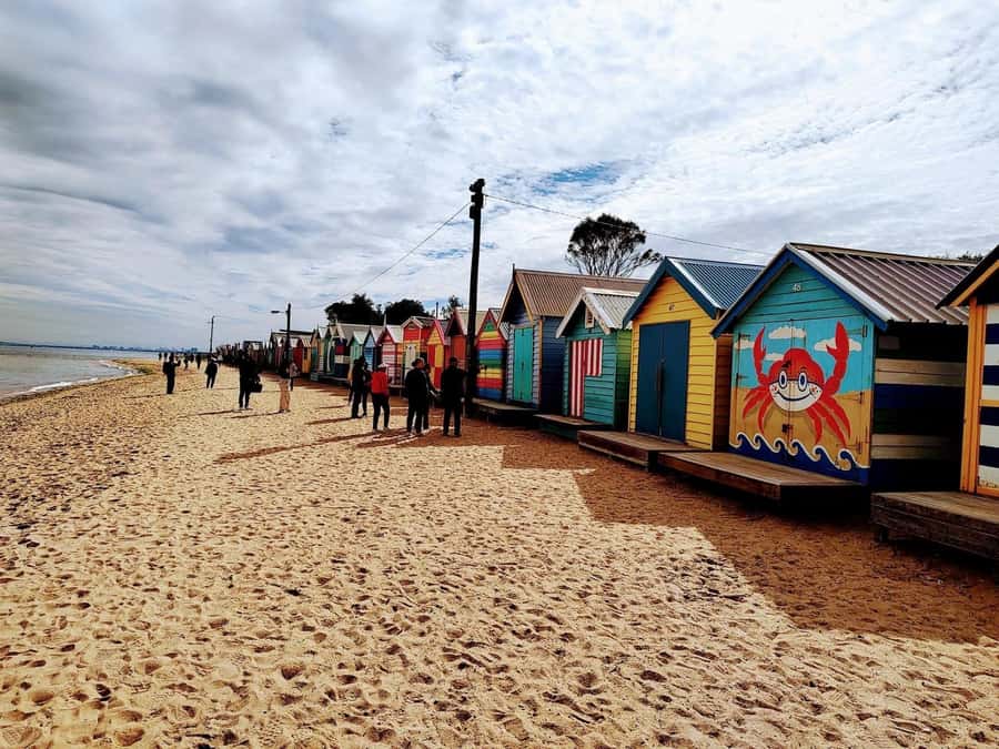 Melbourne: Moonlit Sanctuary and Brighton Beach Boxes Tour - Your Guide Makes the Day: Photo Help, Fun Facts, and Real Energy