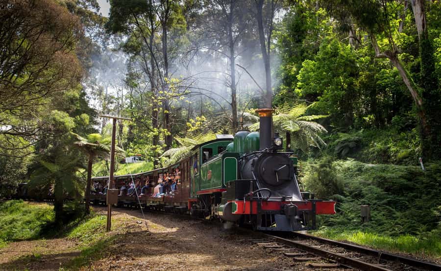 Melbourne: Penguin Parade Tour with Puffing Billy Train Ride - Steam train plus Penguin Parade, the reason this trip works