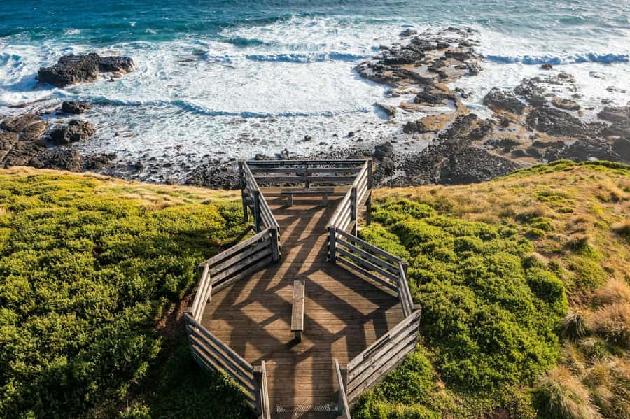 Melbourne: Penguin Parade Tour with Puffing Billy Train Ride - The Nobbies viewpoint and dinner in Cowes: timing is everything