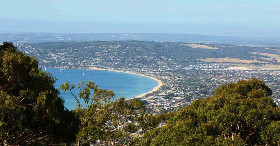 Melbourne: Peninsula Hot Springs with Lunch and Wine - Green Olive Estate lunch and a cool-climate wine paddle