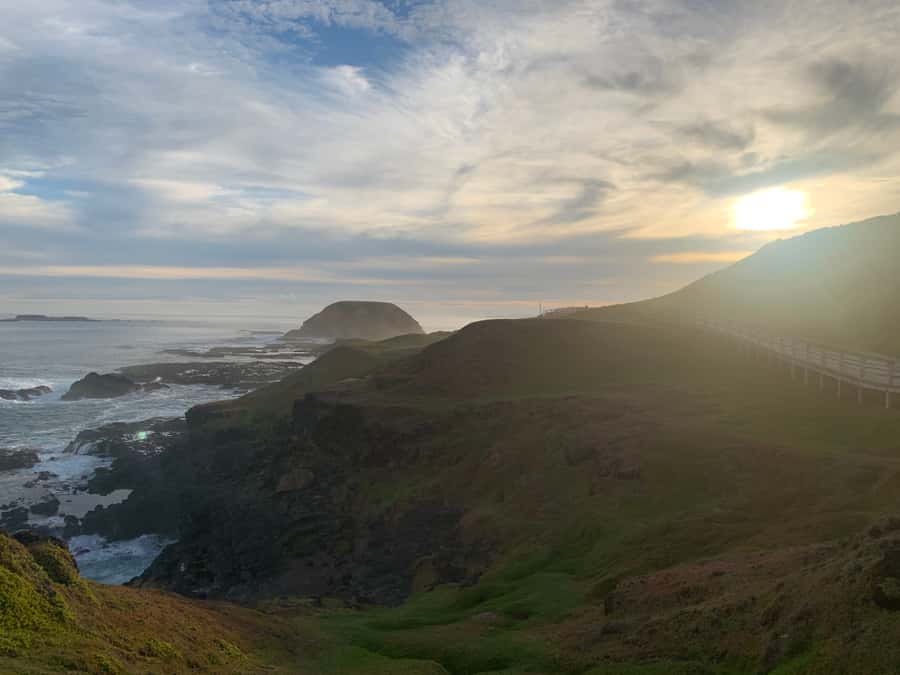 Melbourne: Phillip Island Tour & Penguin Parade - Key highlights worth planning for