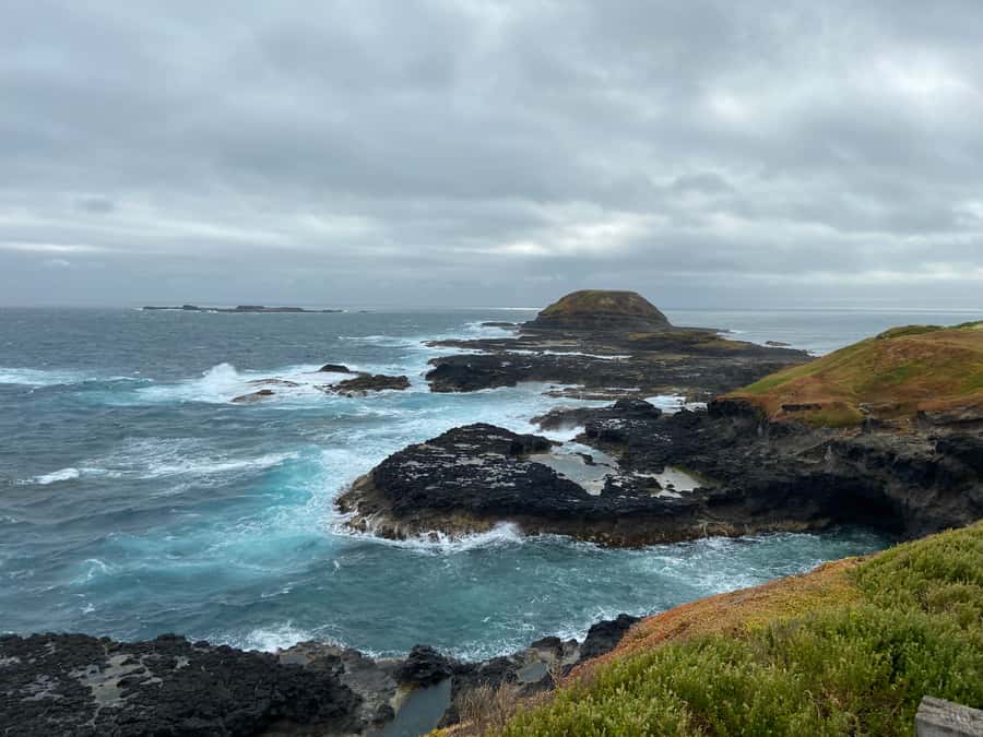 Melbourne: Phillip Island Tour & Penguin Parade - Practical tips for a smoother day