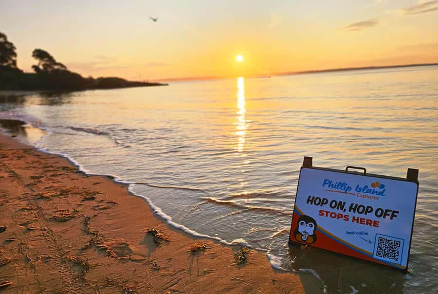 Melbourne: Phillip Island Tour w/ Hop-on Bus or Seal Cruise - Explorer Route: hop-on bus freedom around Grand Prix, beaches, and more