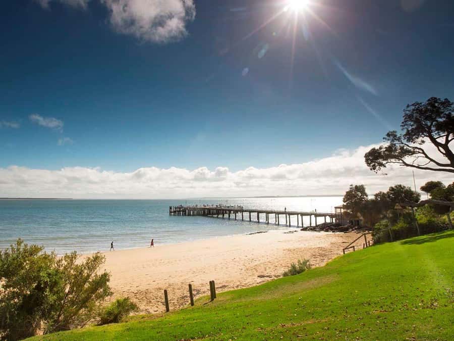 Melbourne: Phillip Island Tour w/ Hop-on Bus or Seal Cruise - Comfort and logistics on a 13-hour small-group day