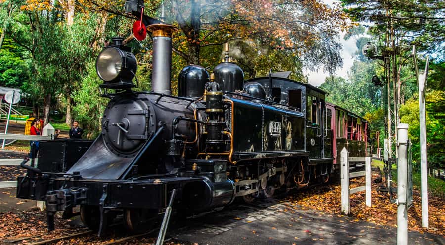 Melbourne: Puffing Billy & Healesville Sanctuary Scenic Tour - Guides and Comfort: The Human Factor That Makes It Feel Easy