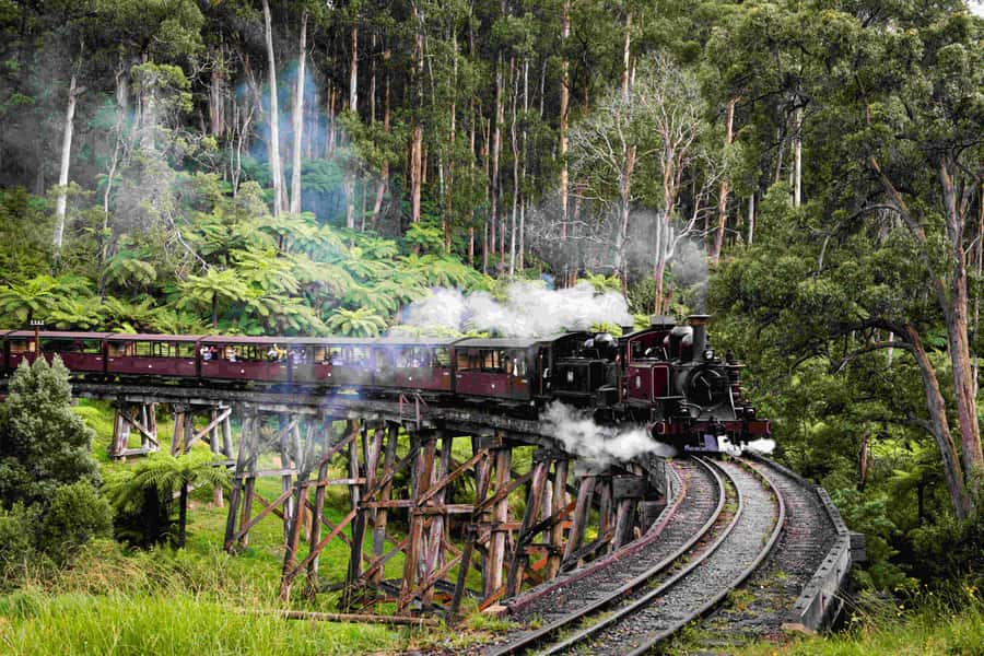 Melbourne: Puffing Billy Railway & Penguin Parade Day Tour - The Nobbies Boardwalk Photo Stop and Bass Strait Blowholes