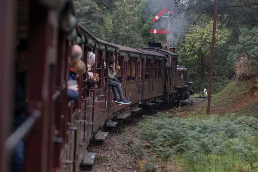Melbourne: Puffing Billy Railway & Penguin Parade Day Tour - Should You Book This Puffing Billy and Penguin Parade Day Tour?