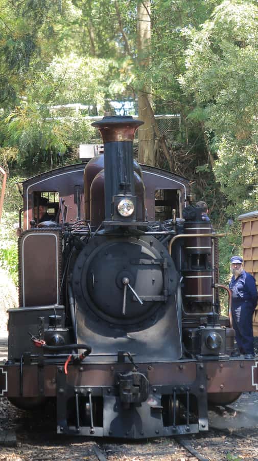 Melbourne: Puffing Billy Train and Penguin Island Day Tour - Key points before you go