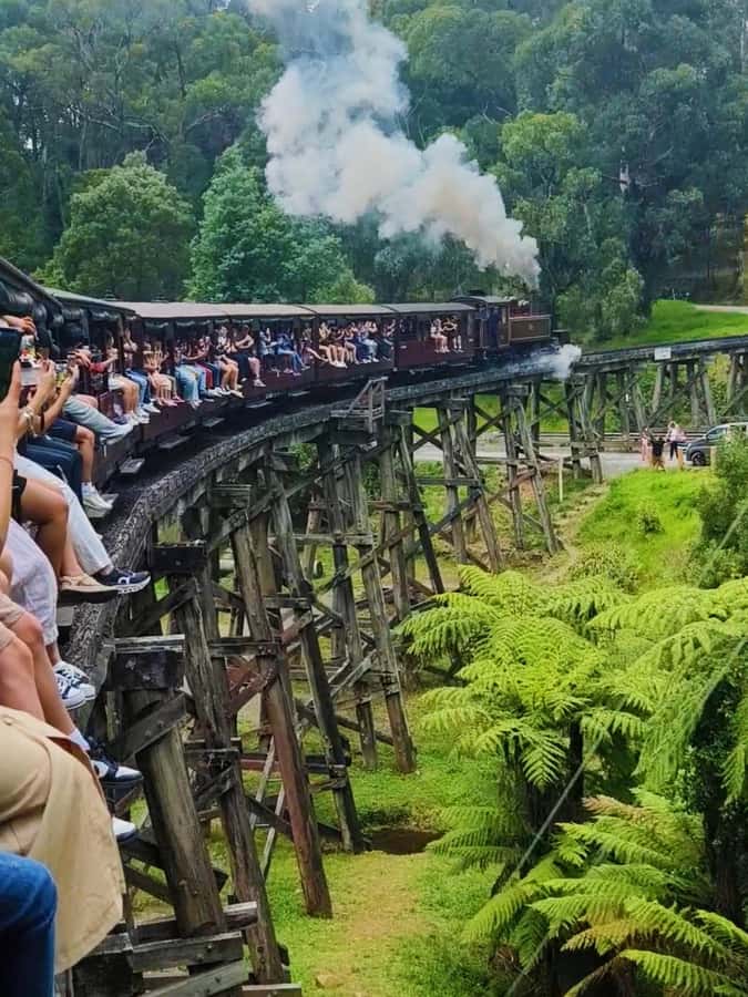 Melbourne: Puffing Billy Train and Penguin Island Day Tour - Melbourne pickups and the realities of a 14-hour day
