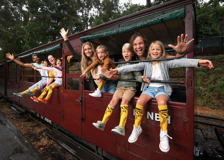 Melbourne: Puffing Billy Train & Penguin Island Excursion - Puffing Billy Steam Train Through the Dandenong Ranges