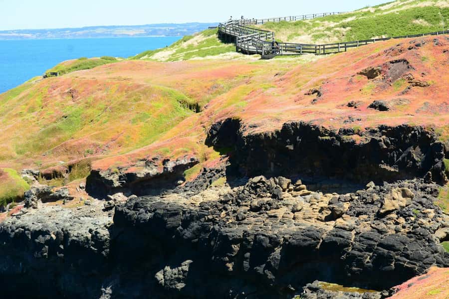 Melbourne: Puffing Billy Train & Penguin Island Excursion - The Nobbies Viewpoint, Coastal Views Before Penguin Time