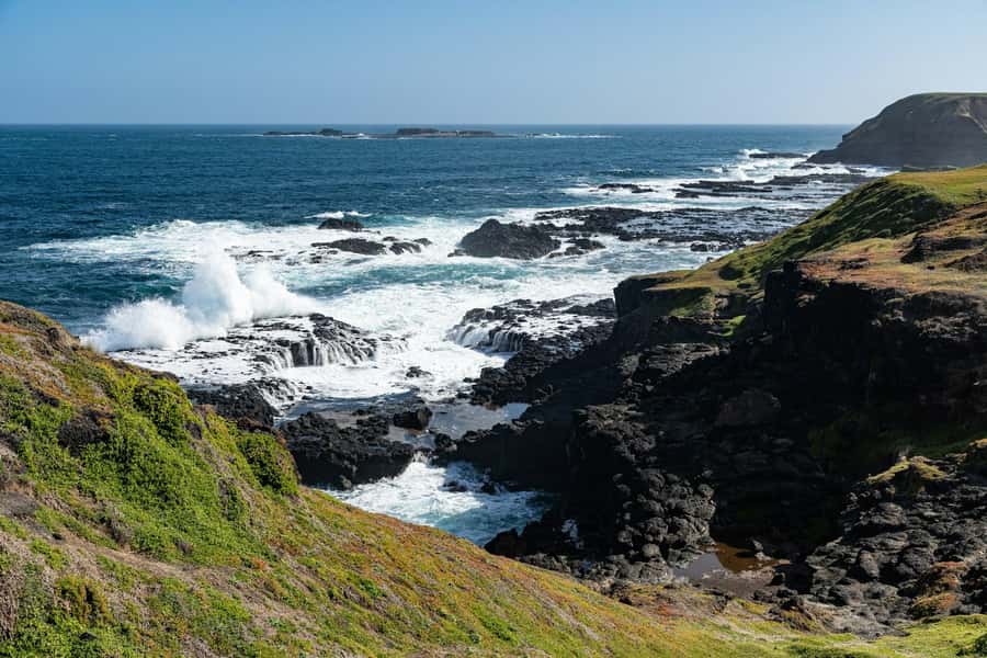 Melbourne: Puffing Billy Train & Penguin Island Excursion - Price, Included Stuff, and How to Judge Value at $130