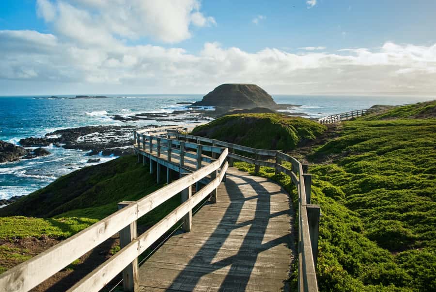 Melbourne: Puffing Billy Train & Penguin Parade Adventure - A full-day rail and penguins loop from Melbourne