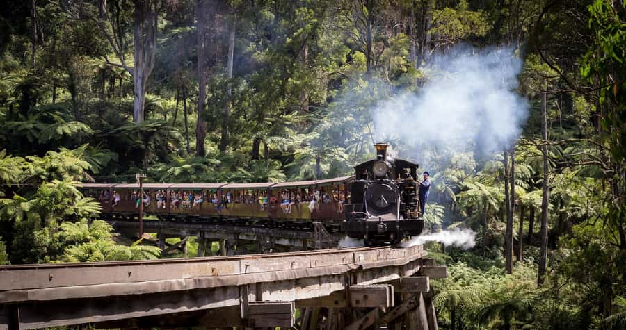 Melbourne: Puffing Billy Train & Penguin Parade Adventure - Puffing Billy through the Dandenong Ranges on a century steam line