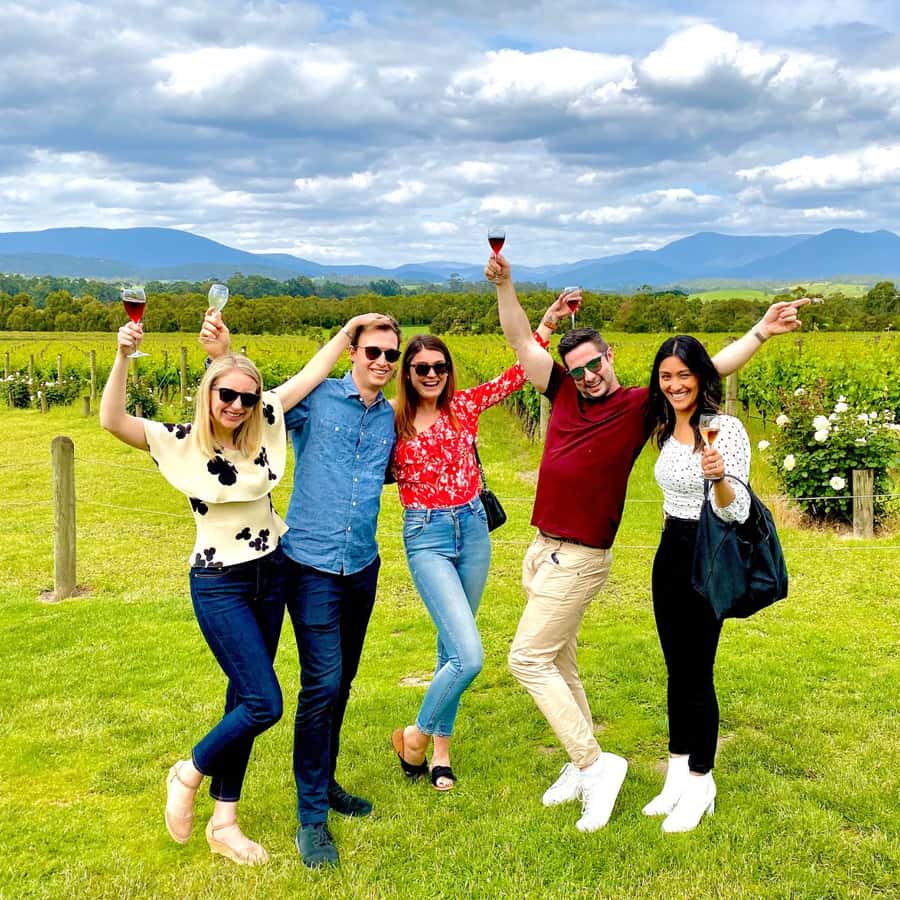 Melbourne: Relaxed Half-Day Yarra Valley Wine Tour - Key Highlights You’ll Feel on This Tour