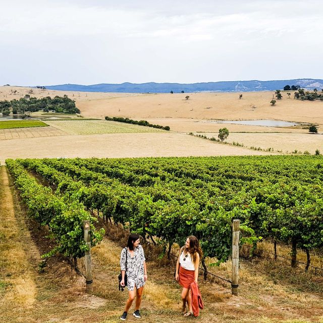 Melbourne: Relaxed Half-Day Yarra Valley Wine Tour - Small Details That Make the Day Work Smoothly