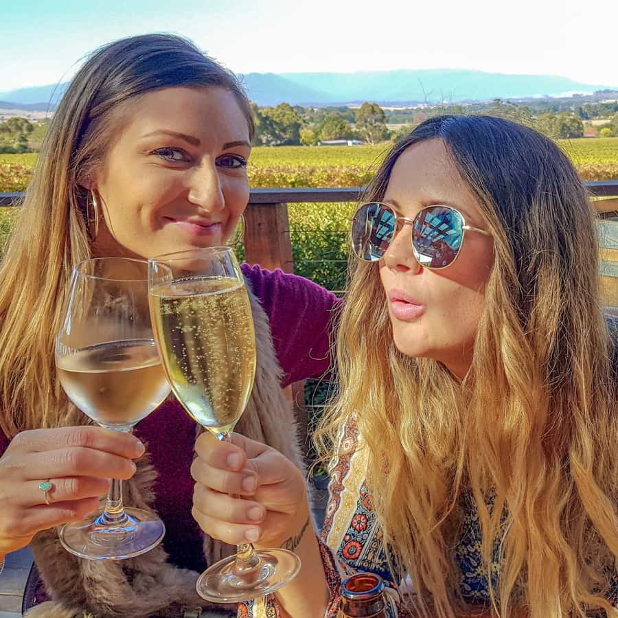 Melbourne: Relaxed Half-Day Yarra Valley Wine Tour - From Arts Centre to the Valley: Transport That Stays Comfortable