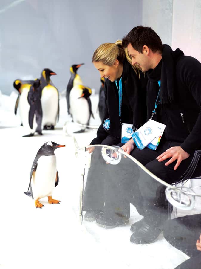 Melbourne: SEA LIFE Aquarium Entrance Ticket - Key highlights worth getting excited about