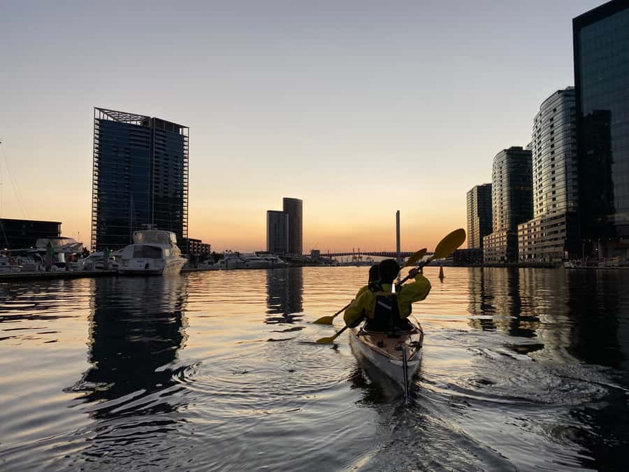 Melbourne: Sunset Kayak Tour with Dinner - Finishing at the Rowing Sheds, Across from Federation Square