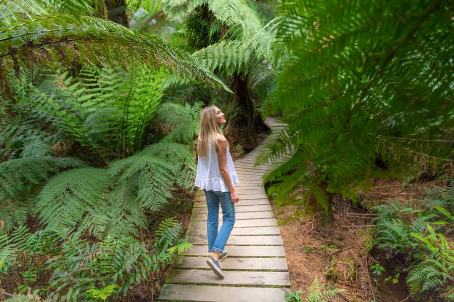 Melbourne to Adelaide: 2-Day Great Ocean Road Grampians Tour - MacKenzie Falls: a short hike that still feels worth it