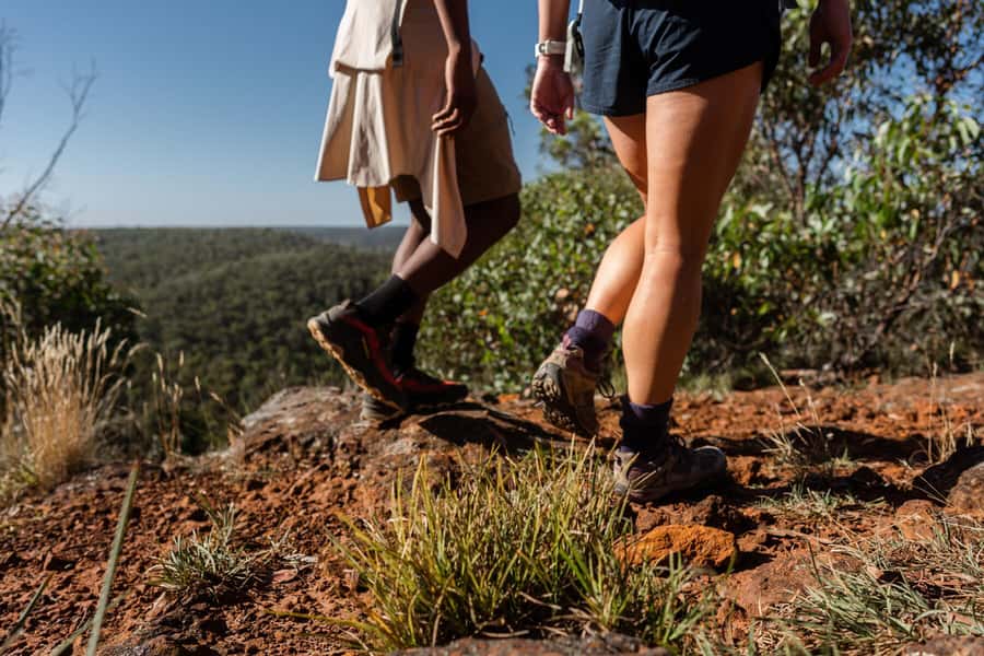 Melbourne to Adelaide: 2-Day Great Ocean Road Grampians Tour - Wildlife in the Grampians: kangaroos, emus, and wallabies