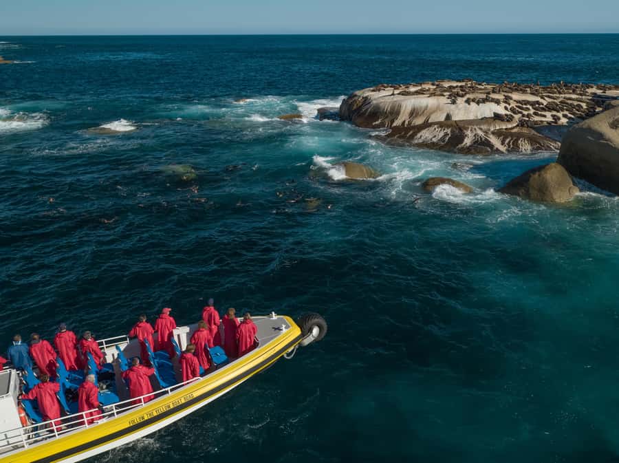 Melbourne: Wilsons Promontory Morning Wilderness Cruise - South Point first, then Bass Strait gets the spotlight