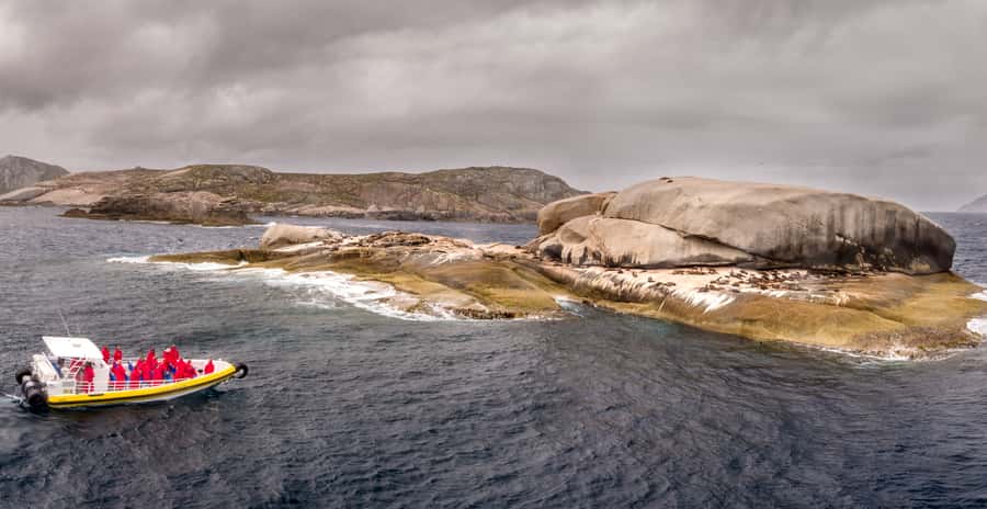 Melbourne: Wilsons Promontory Morning Wilderness Cruise - Price and value: what $109 buys you in real terms
