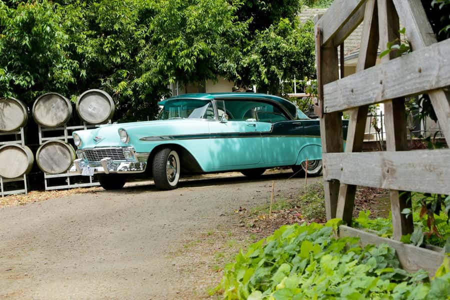 Melbourne: Yarra Valley Food & Wine Tour in a '56 Chevrolet - Melba Estate morning tea: scones, coffee, and breathing room