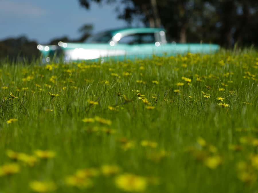 Melbourne: Yarra Valley Food & Wine Tour in a '56 Chevrolet - Healesville lunch, plus a town walk-through at the right time