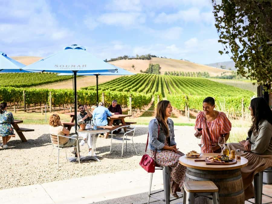 Melbourne: Yarra Valley Half-Day Wine Tour - VIP comfort between Melbourne and the Valley