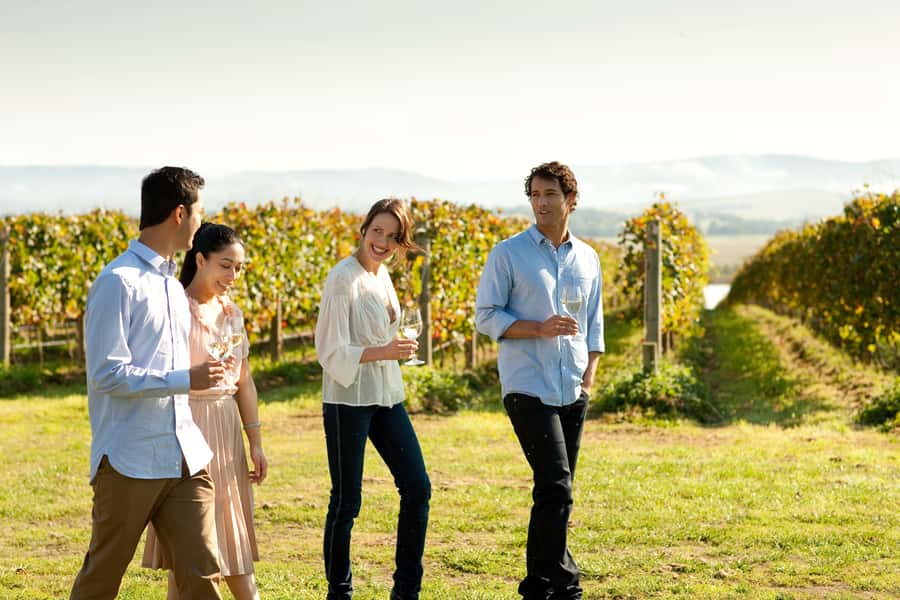 Melbourne: Yarra Valley Wine Bubbles & Kangaroos Tour - Who This Tour Is Best For, and Who Should Skip It