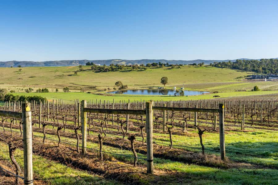 Melbourne: Yarra Valley Wine, Cider, Gin, Beer, & Choc Tour - A Yarra Valley road trip, not a wine lecture