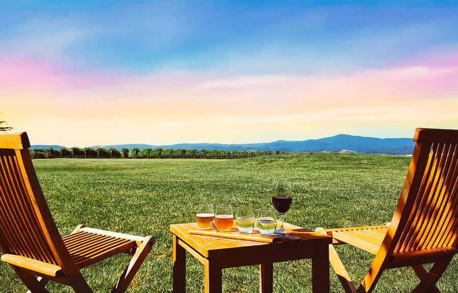 Melbourne: Yarra Valley Wine Tour + Lunch & Gin/Beer Option - Key highlights you should know before you go