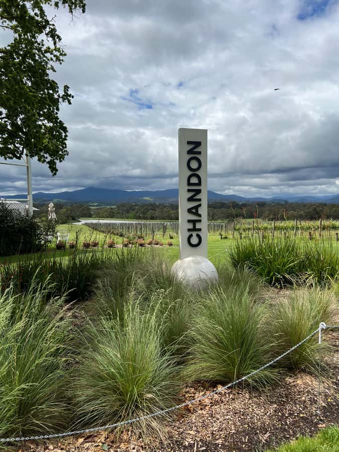 Melbourne: Yarra Valley Wineries Private Day Tour - Yering Station and Rochford: where the day’s wine education starts