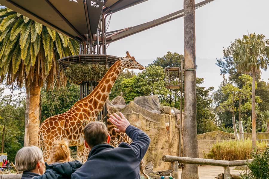 Melbourne Zoo: 1-Day Entry Ticket - What a one-day Melbourne Zoo ticket really covers