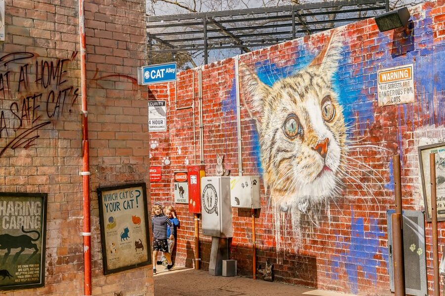 Melbourne Zoo: 1-Day Entry Ticket - Time keeper presentations like a mini guided tour