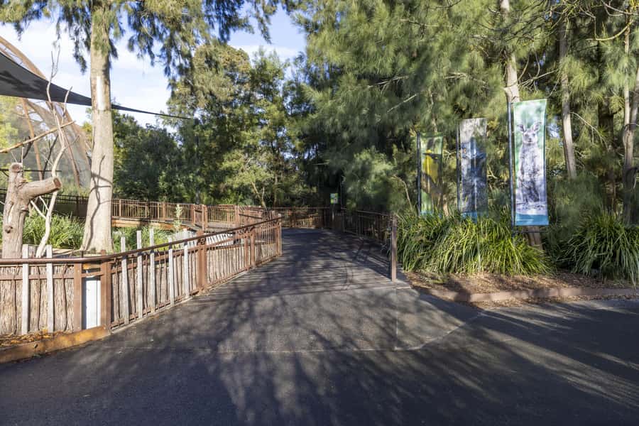 Melbourne Zoo: Australian Wildlife Experience Ticket - The 8:00am start changes what you see