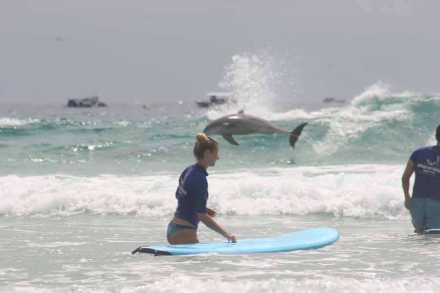 Miami: Group Surf Lesson - Why this Gold Coast lesson is such a good first step