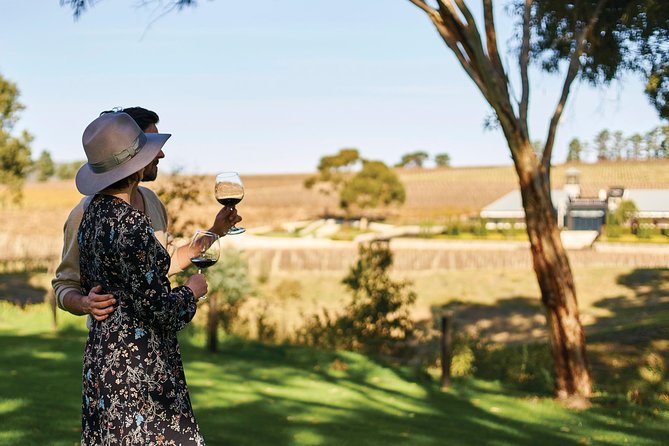 Micro-Group McLaren Vale Wine Tour from Adelaide - McLaren Vale, but with the driver situation handled