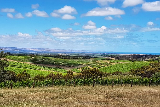 Micro-Group McLaren Vale Wine Tour from Adelaide - d’Arenberg and the Cube: quick photo value, plus variety if you want it
