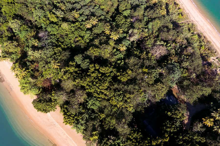 Mission Beach: Explore Dunk Island Day Tour - Palm Valley circuit track: 3-4 hours of “slow down” island wandering