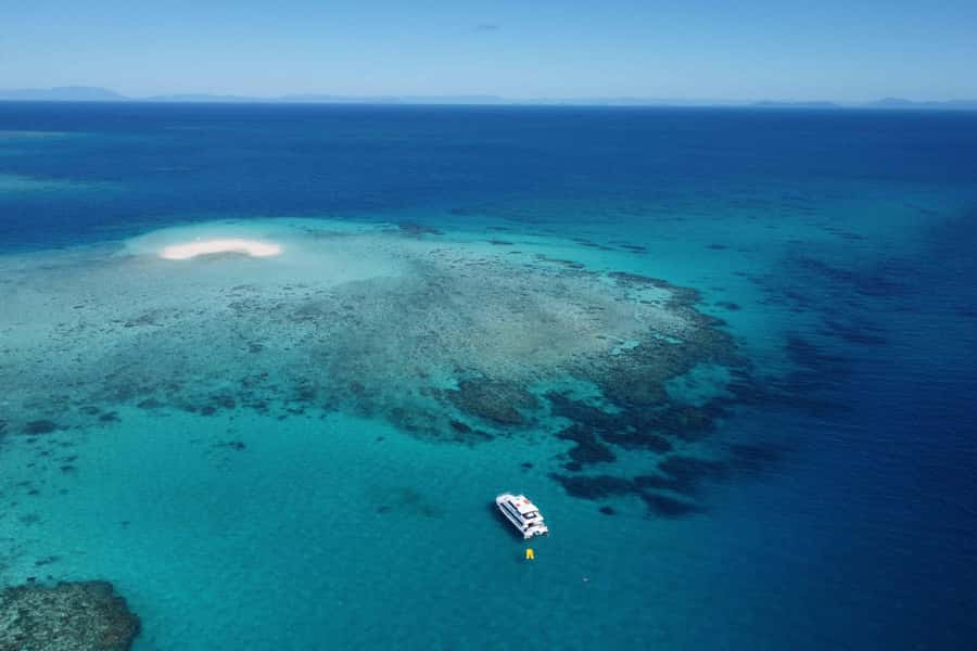 Mission Beach: Outer Great Barrier Reef & Dunk Island Tour - QuickCoast logistics: how this Mission Beach day stays smooth