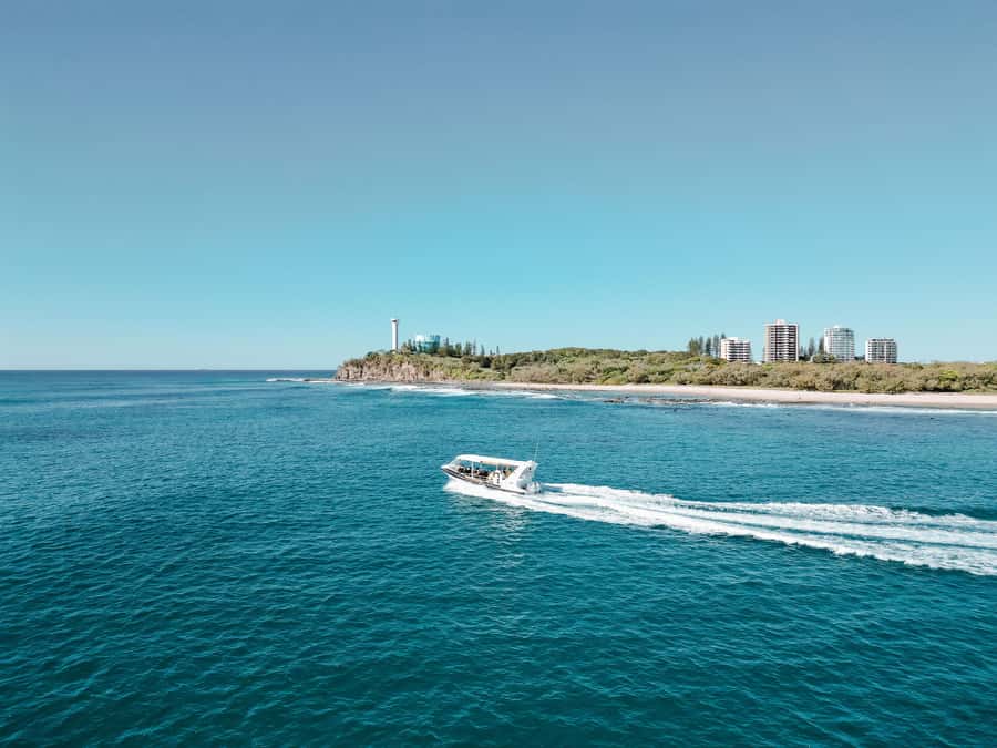 Mooloolaba: Adventure Rafting Turtle Tour - Cross the bar and get the adrenaline: ocean time and landmark spotting