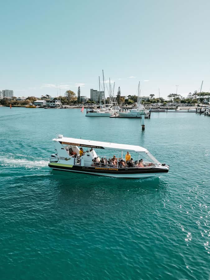 Mooloolaba: Adventure Rafting Turtle Tour - Wildlife commentary that actually connects the dots