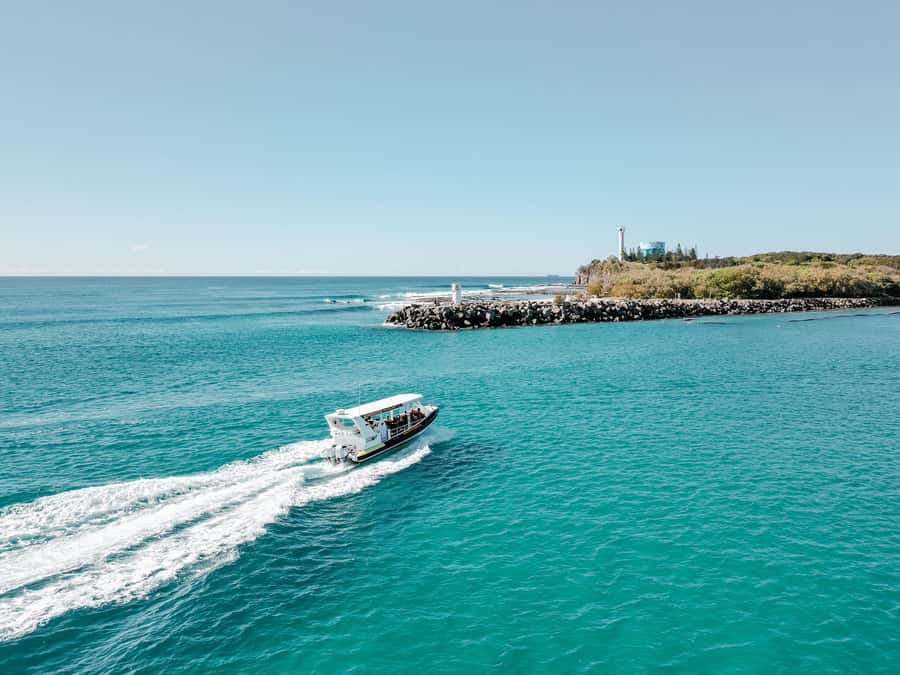 Mooloolaba: Adventure Rafting Turtle Tour - Pace, comfort, and who this tour suits best